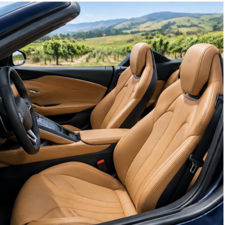 Roma Spider interior detail